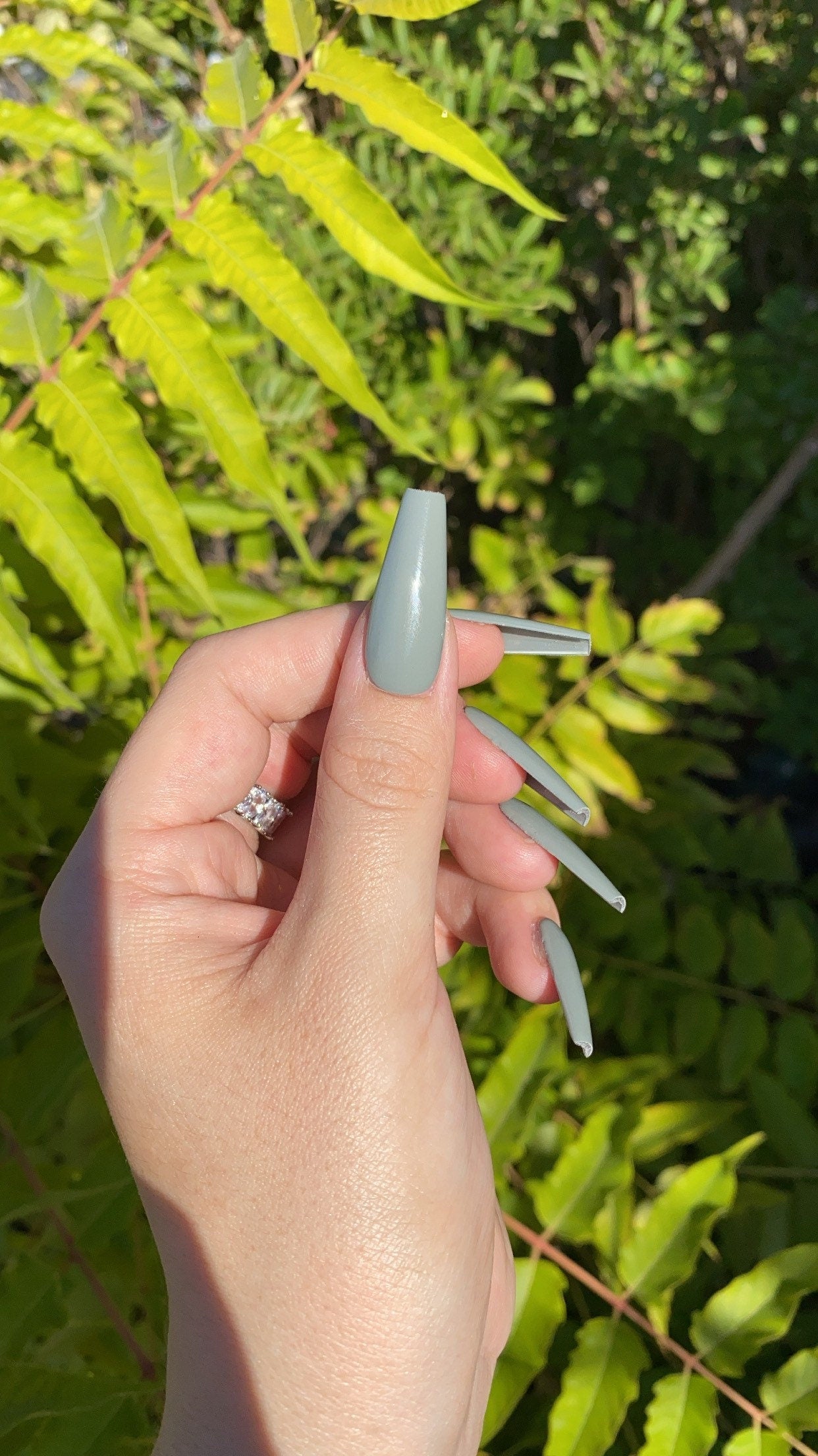 Agave - Press On Nail Set